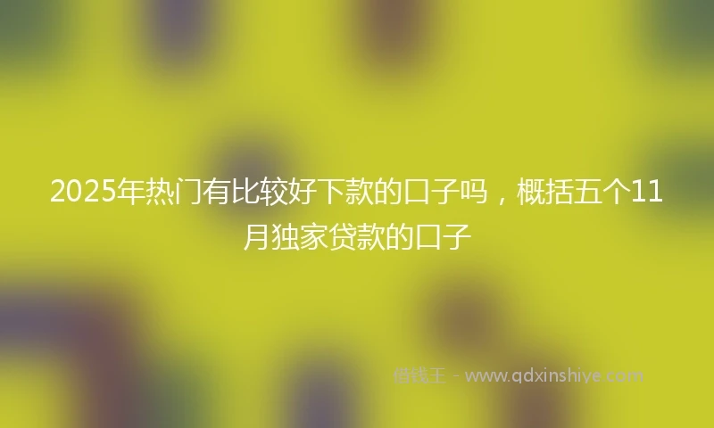 2025年热门有比较好下款的口子吗，概括五个11月独家贷款的口子