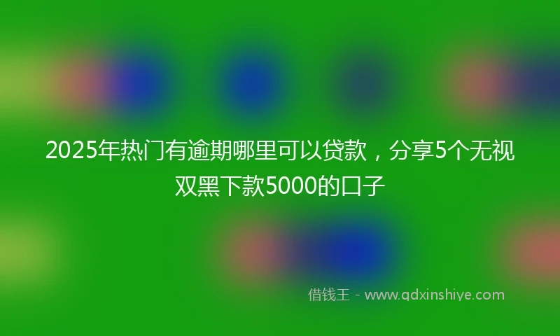 2025年热门有逾期哪里可以贷款，分享5个无视双黑下款5000的口子