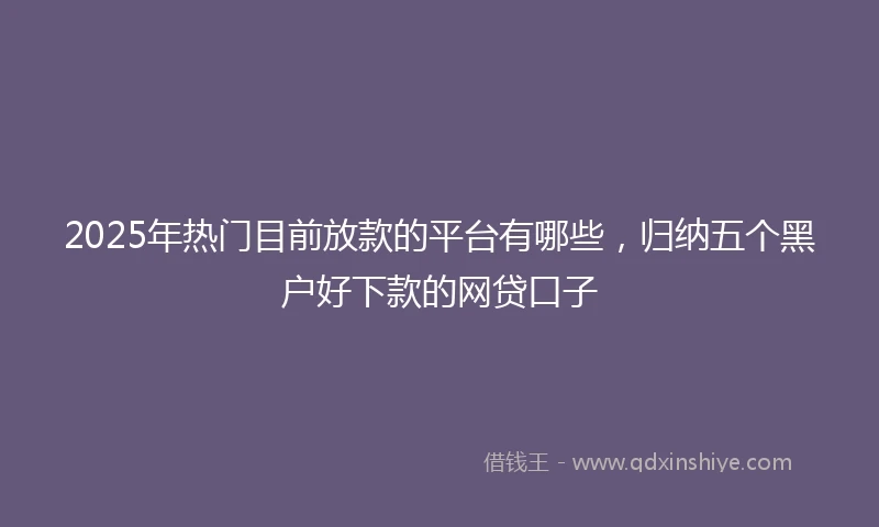 2025年热门目前放款的平台有哪些，归纳五个黑户好下款的网贷口子