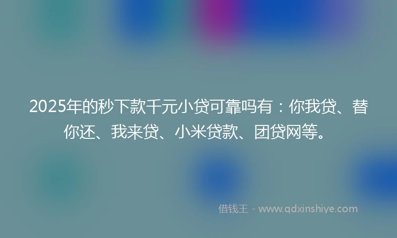 2025年的秒下款千元小贷可靠吗有:你我贷、替你还、我来贷、小米贷款、团贷网等。