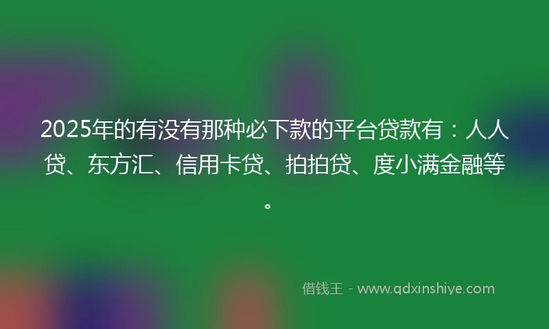 2025年的有没有那种必下款的平台贷款有：人人贷、东方汇、信用卡贷、拍拍贷、度小满金融等。