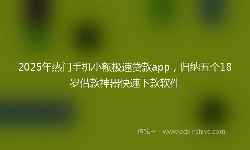2025年热门手机小额极速贷款app，归纳五个18岁借款神器快速下款软件