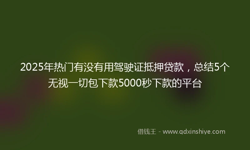 2025年热门有没有用驾驶证抵押贷款，总结5个无视一切包下款5000秒下款的平台