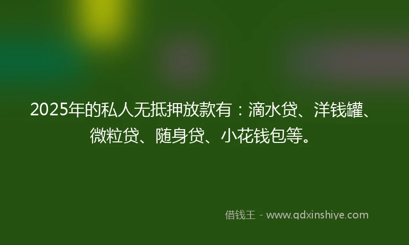 2025年的私人无抵押放款有：滴水贷、洋钱罐、微粒贷、随身贷、小花钱包等。