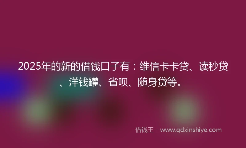 2025年的新的借钱口子有：维信卡卡贷、读秒贷、洋钱罐、省呗、随身贷等。