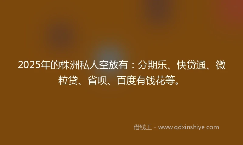 2025年的株洲私人空放有：分期乐、快贷通、微粒贷、省呗、百度有钱花等。