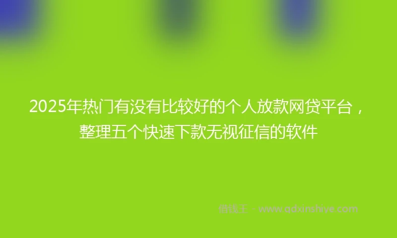 2025年热门有没有比较好的个人放款网贷平台，整理五个快速下款无视征信的软件