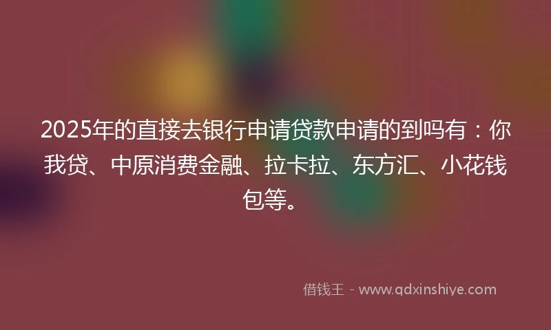 2025年的直接去银行申请贷款申请的到吗有：你我贷、中原消费金融、拉卡拉、东方汇、小花钱包等。