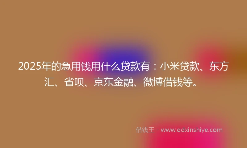 2025年的急用钱用什么贷款有：小米贷款、东方汇、省呗、京东金融、微博借钱等。