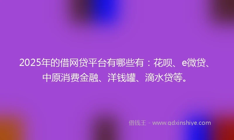 2025年的借网贷平台有哪些有：花呗、e微贷、中原消费金融、洋钱罐、滴水贷等。