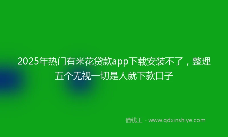 2025年热门有米花贷款app下载安装不了，整理五个无视一切是人就下款口子