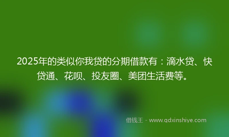 2025年的类似你我贷的分期借款有：滴水贷、快贷通、花呗、投友圈、美团生活费等。
