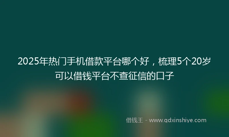 2025年热门手机借款平台哪个好，梳理5个20岁可以借钱平台不查征信的口子