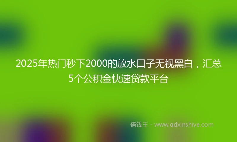 2025年热门秒下2000的放水口子无视黑白,汇总5个公积金快速贷款平台