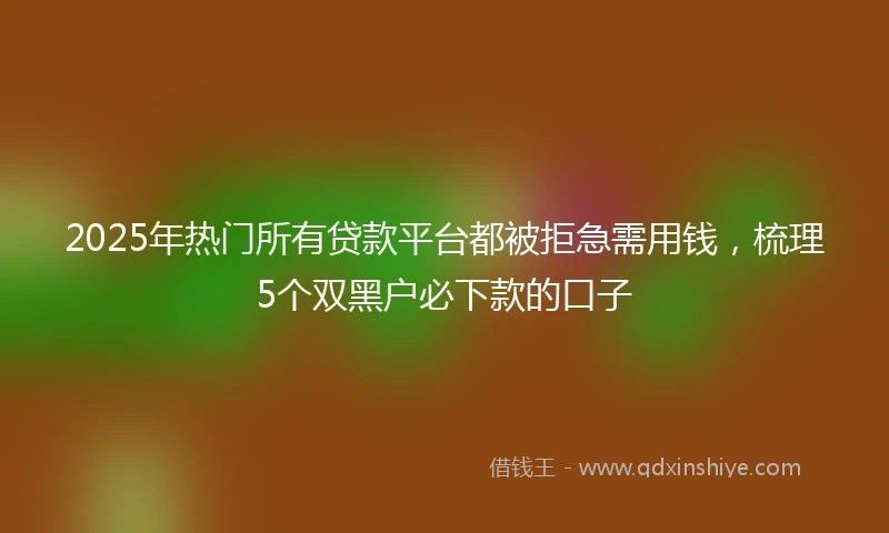 2025年热门所有贷款平台都被拒急需用钱，梳理5个双黑户必下款的口子