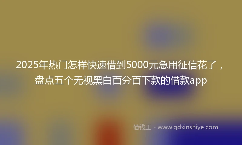 2025年热门怎样快速借到5000元急用征信花了，盘点五个无视黑白百分百下款的借款app