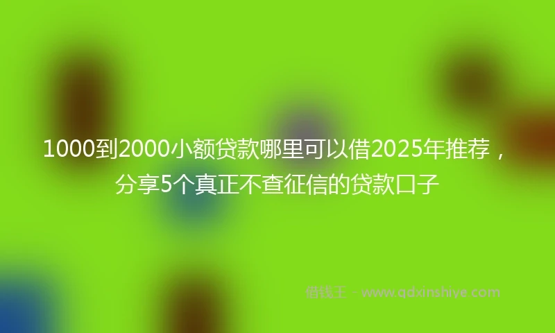1000到2000小额贷款哪里可以借2025年推荐，分享5个真正不查征信的贷款口子