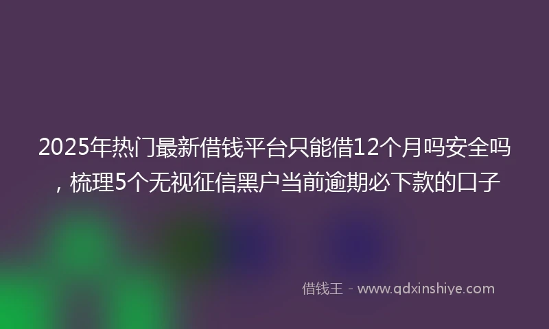 2025年热门最新借钱平台只能借12个月吗安全吗，梳理5个无视征信黑户当前逾期必下款的口子