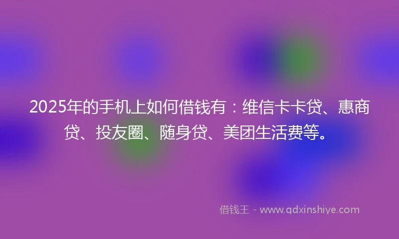 2025年的手机上如何借钱有：维信卡卡贷、惠商贷、投友圈、随身贷、美团生活费等。