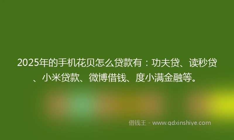 2025年的手机花贝怎么贷款有：功夫贷、读秒贷、小米贷款、微博借钱、度小满金融等。