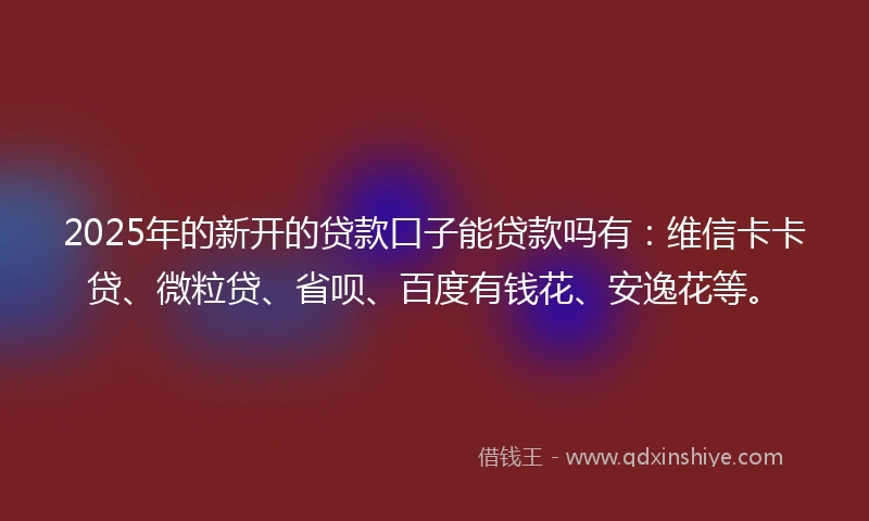 2025年的新开的贷款口子能贷款吗有：维信卡卡贷、微粒贷、省呗、百度有钱花、安逸花等。