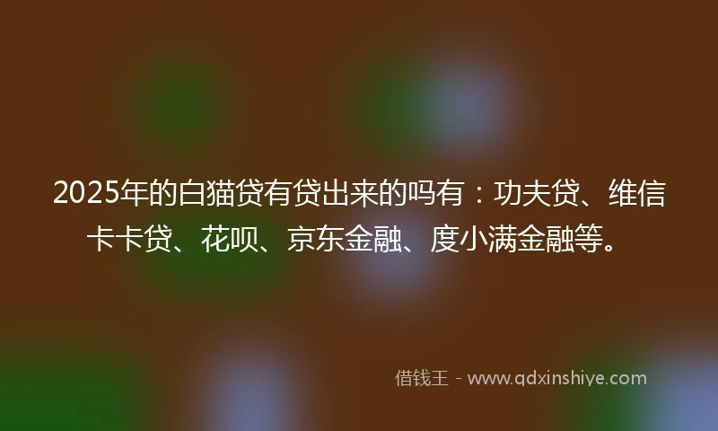 2025年的白猫贷有贷出来的吗有：功夫贷、维信卡卡贷、花呗、京东金融、度小满金融等。