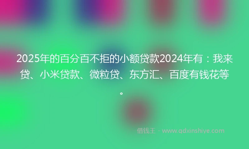 2025年的百分百不拒的小额贷款2024年有：我来贷、小米贷款、微粒贷、东方汇、百度有钱花等。