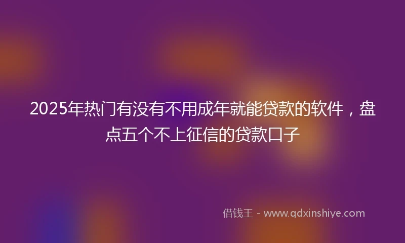 2025年热门有没有不用成年就能贷款的软件，盘点五个不上征信的贷款口子