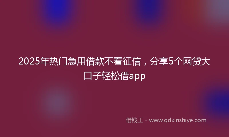 2025年热门急用借款不看征信，分享5个网贷大口子轻松借app