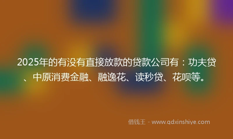 2025年的有没有直接放款的贷款公司有：功夫贷、中原消费金融、融逸花、读秒贷、花呗等。