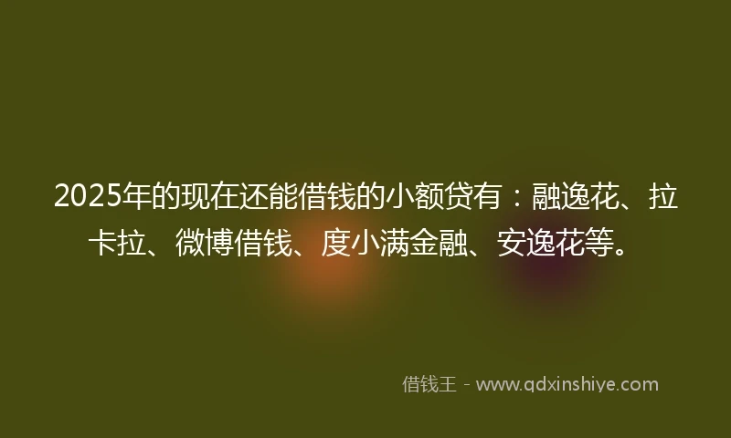 2025年的现在还能借钱的小额贷有：融逸花、拉卡拉、微博借钱、度小满金融、安逸花等。