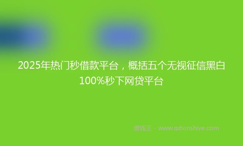2025年热门秒借款平台，概括五个无视征信黑白100%秒下网贷平台