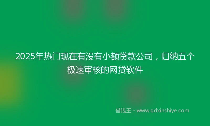 2025年热门现在有没有小额贷款公司,归纳五个极速审核的网贷软件