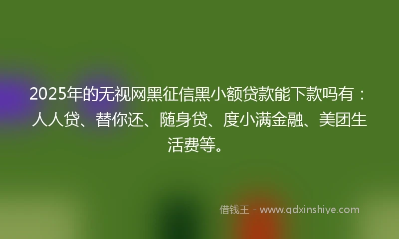 2025年的无视网黑征信黑小额贷款能下款吗有：人人贷、替你还、随身贷、度小满金融、美团生活费等。