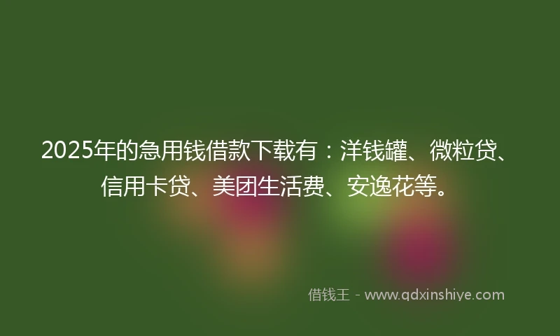 2025年的急用钱借款下载有：洋钱罐、微粒贷、信用卡贷、美团生活费、安逸花等。