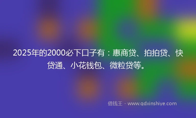 2025年的2000必下口子有：惠商贷、拍拍贷、快贷通、小花钱包、微粒贷等。