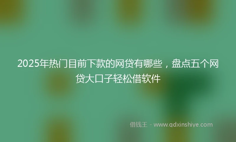2025年热门目前下款的网贷有哪些，盘点五个网贷大口子轻松借软件