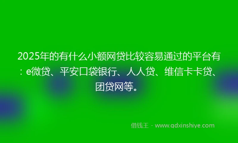 2025年的有什么小额网贷比较容易通过的平台有：e微贷、平安口袋银行、人人贷、维信卡卡贷、团贷网等。