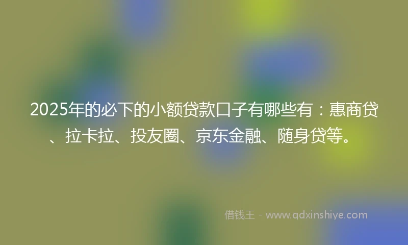 2025年的必下的小额贷款口子有哪些有：惠商贷、拉卡拉、投友圈、京东金融、随身贷等。