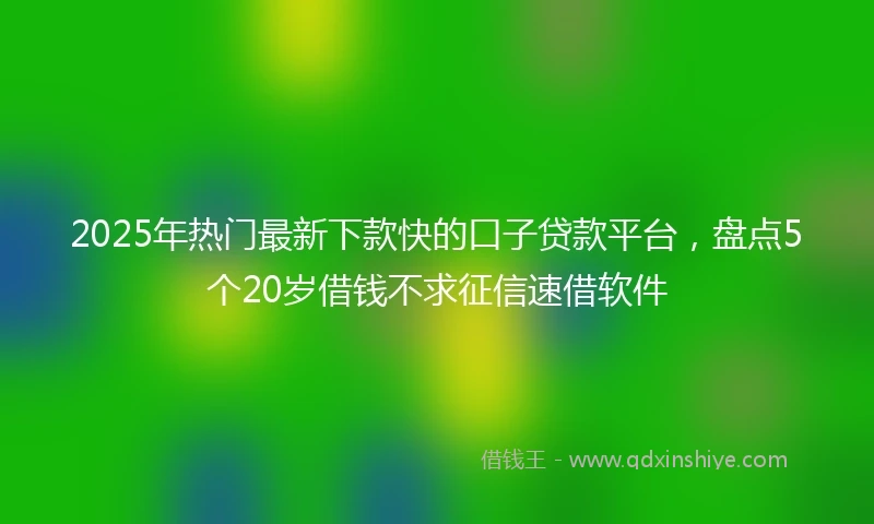 2025年热门最新下款快的口子贷款平台，盘点5个20岁借钱不求征信速借软件