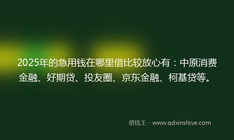 2025年的急用钱在哪里借比较放心有：中原消费金融、好期贷、投友圈、京东金融、柯基贷等。