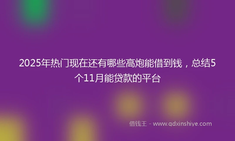 2025年热门现在还有哪些高炮能借到钱，总结5个11月能贷款的平台