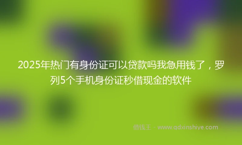 2025年热门有身份证可以贷款吗我急用钱了，罗列5个手机身份证秒借现金的软件
