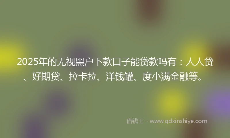 2025年的无视黑户下款口子能贷款吗有：人人贷、好期贷、拉卡拉、洋钱罐、度小满金融等。