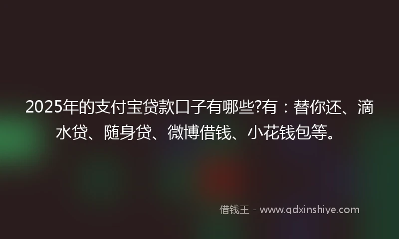 2025年的支付宝贷款口子有哪些?有：替你还、滴水贷、随身贷、微博借钱、小花钱包等。