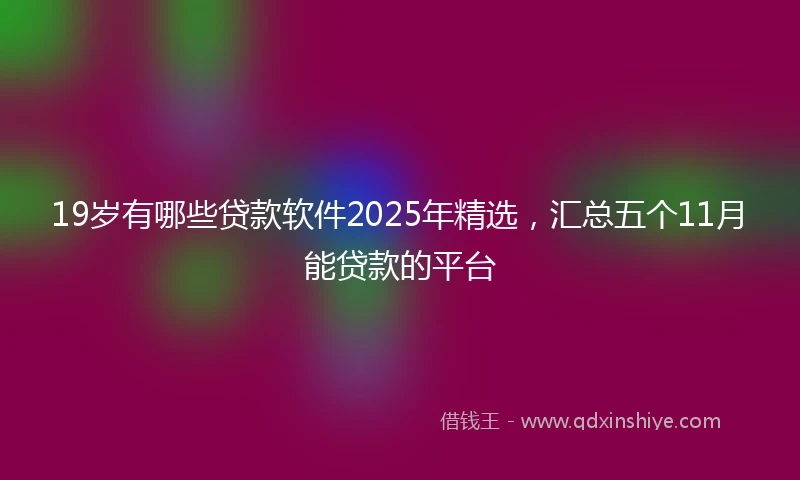 19岁有哪些贷款软件2025年精选，汇总五个11月能贷款的平台