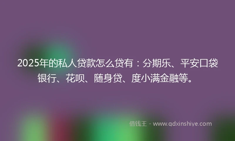 2025年的私人贷款怎么贷有：分期乐、平安口袋银行、花呗、随身贷、度小满金融等。