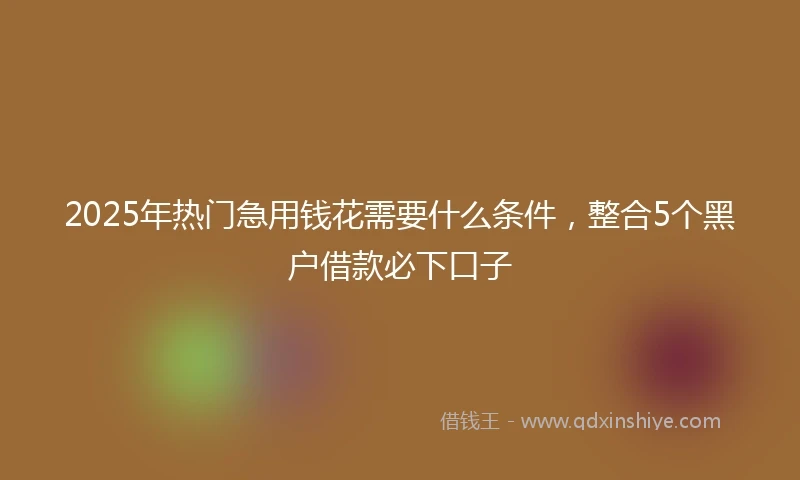 2025年热门急用钱花需要什么条件，整合5个黑户借款必下口子