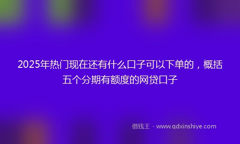 2025年热门现在还有什么口子可以下单的，概括五个分期有额度的网贷口子