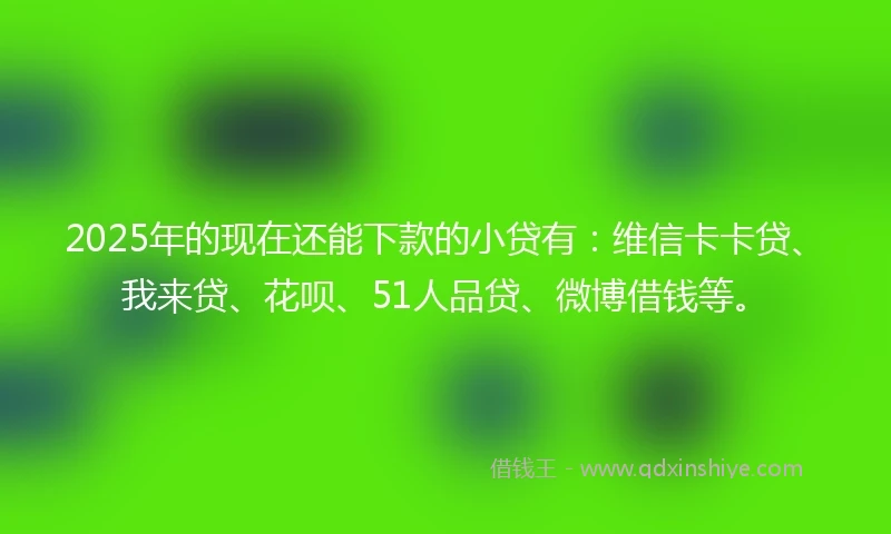 2025年的现在还能下款的小贷有：维信卡卡贷、我来贷、花呗、51人品贷、微博借钱等。